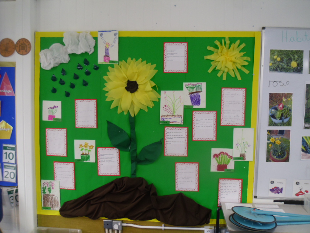 Gallery Item 1